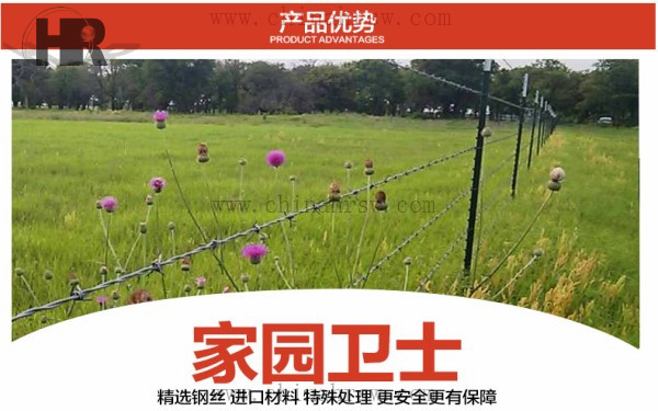 刺絲防護(hù) 刺絲防護(hù)