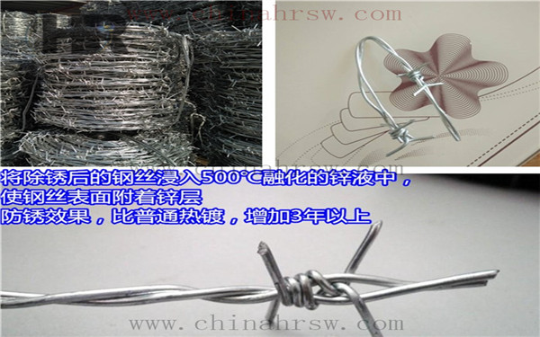 熱鍍鋅刺繩優(yōu)點(diǎn) 熱鍍鋅刺繩優(yōu)點(diǎn)