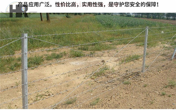 刺繩鋼絲網多少錢一米: 刺繩鋼絲網多少錢一米: