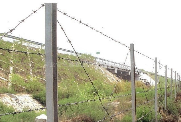 刺絲圍欄 刺絲圍欄