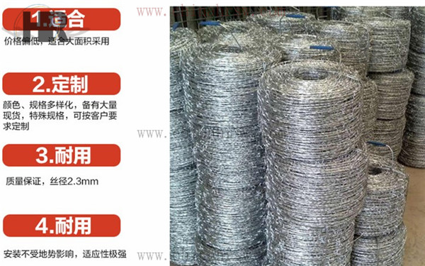 鐵蒺藜防護(hù)網(wǎng) 鐵蒺藜防護(hù)網(wǎng)