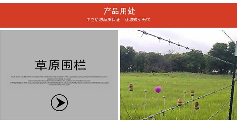 帶刺鐵絲網 帶刺鐵絲網