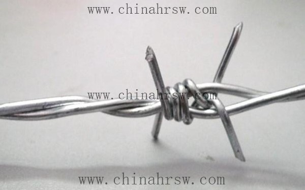 刺繩護欄網 刺繩護欄網