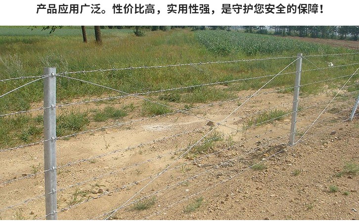 刺絲圍欄 刺絲圍欄