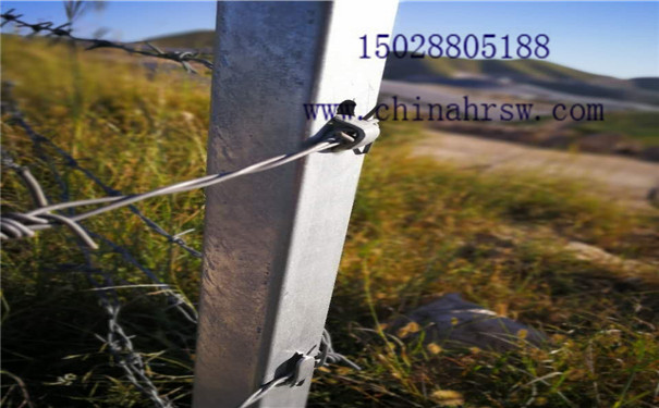 熱鍍鋅刺繩防護網 熱鍍鋅刺繩防護網