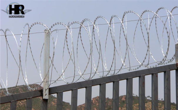 未標題-1.jpg 未標題-1.jpg