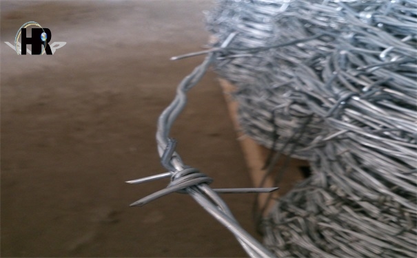 DSC_0326.jpg DSC_0326.jpg