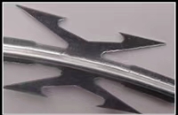 mmexport1514098249072.jpg mmexport1514098249072.jpg