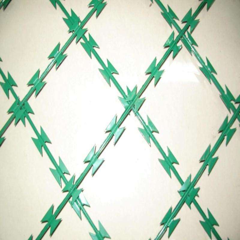 刀片刺網(wǎng) 刀片刺網(wǎng)